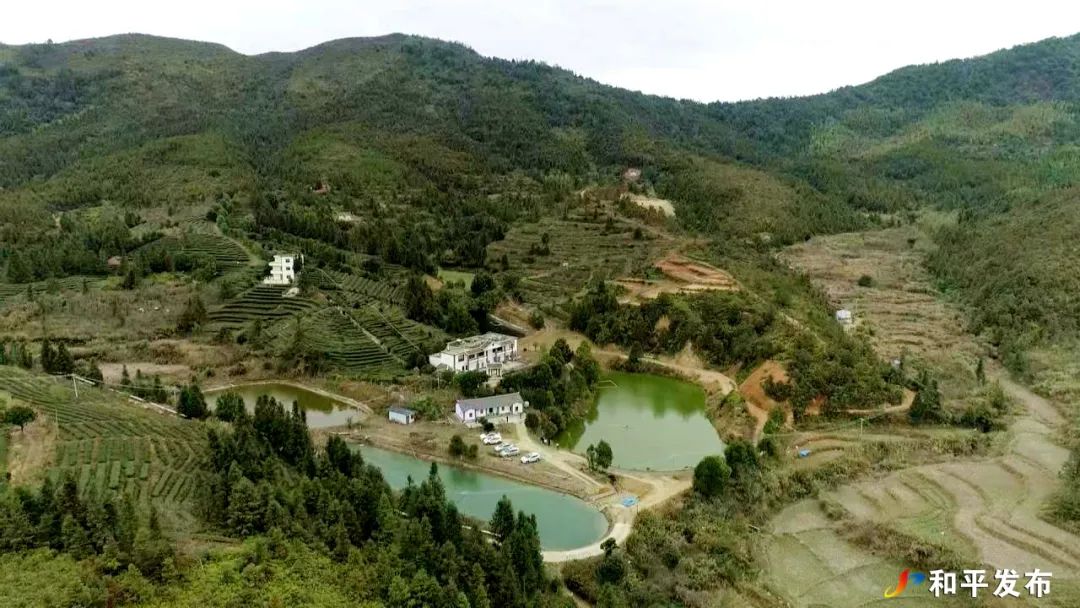 文章配圖