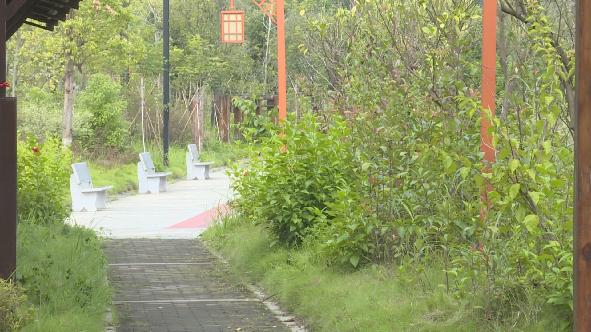 文章配圖