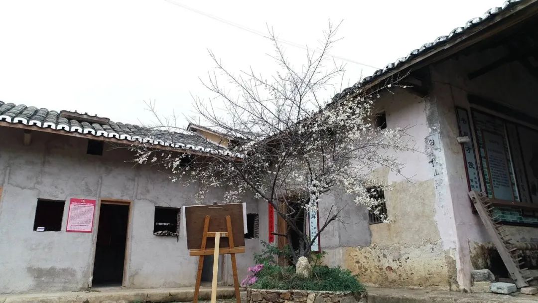 文章配圖