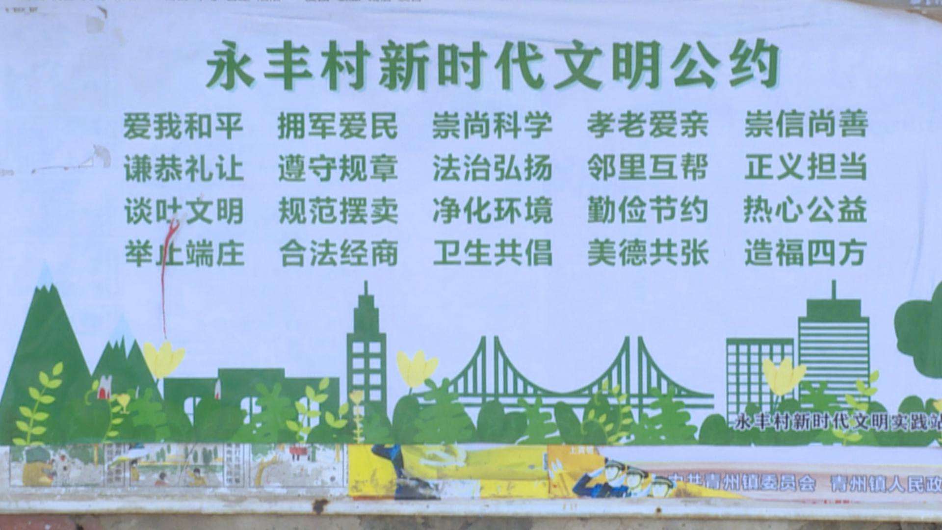 文章配圖