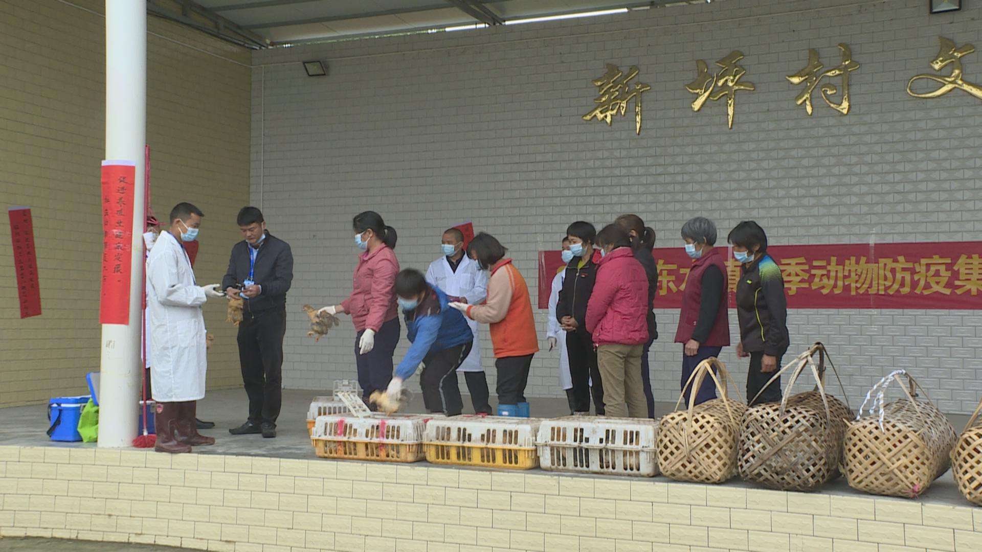 文章配圖