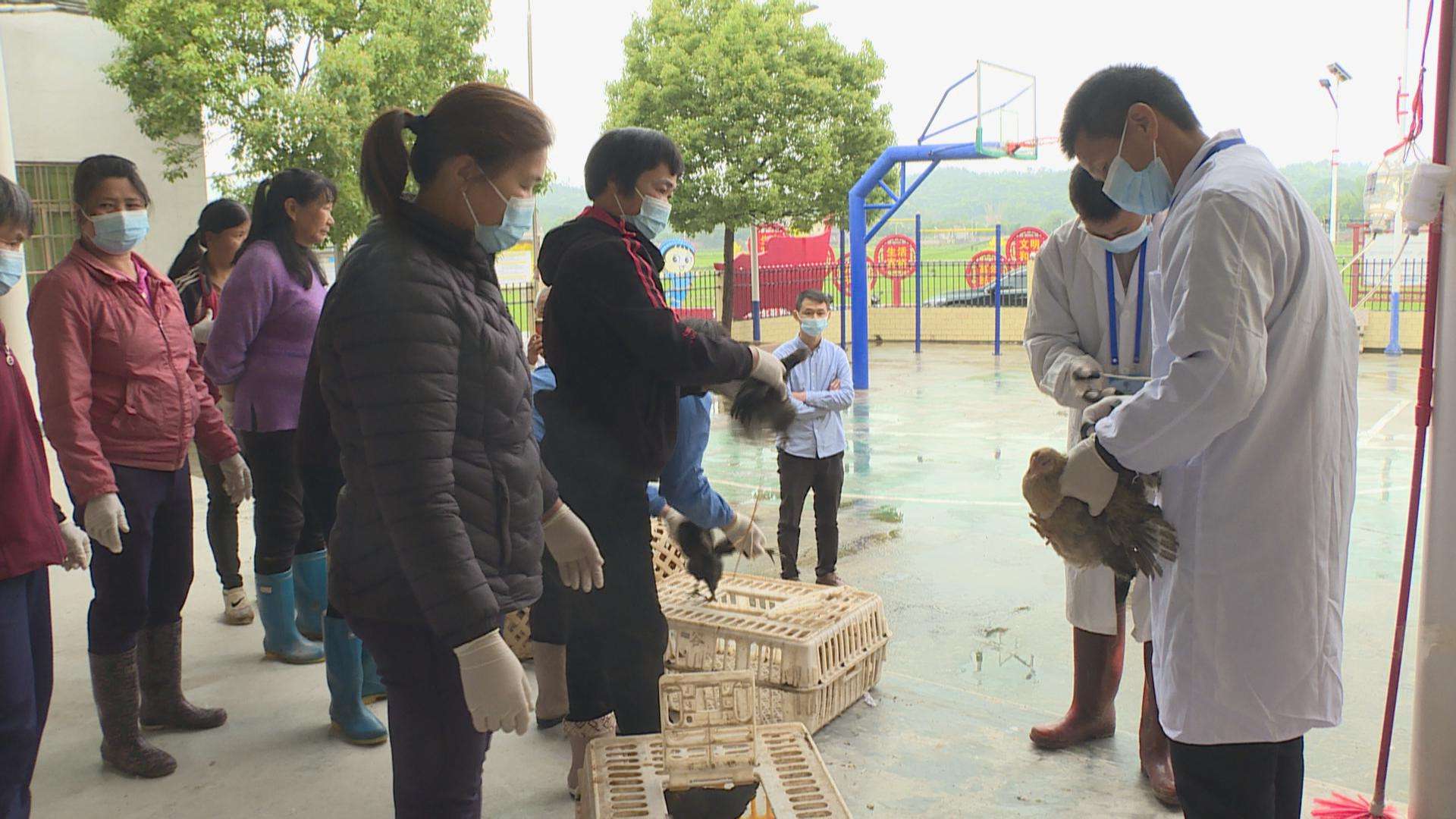 文章配圖