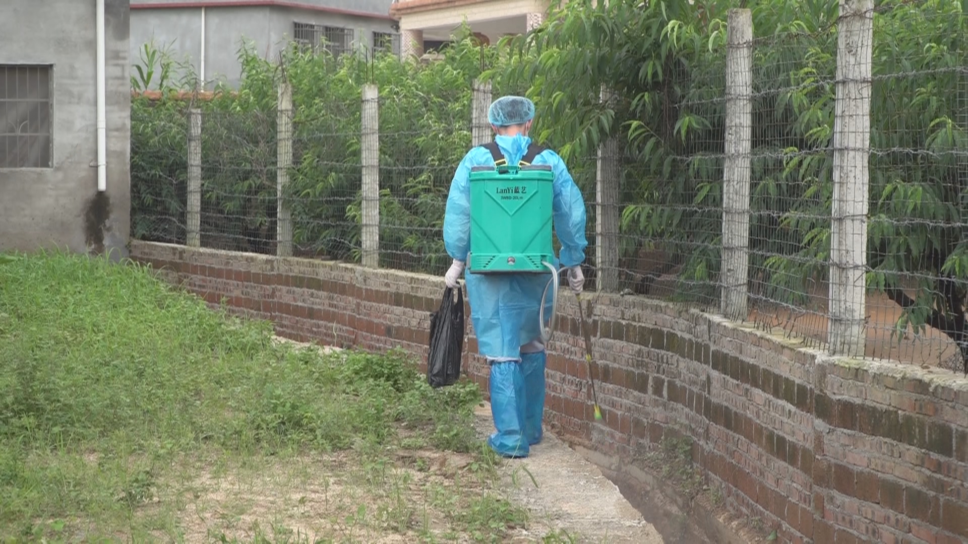 文章配圖