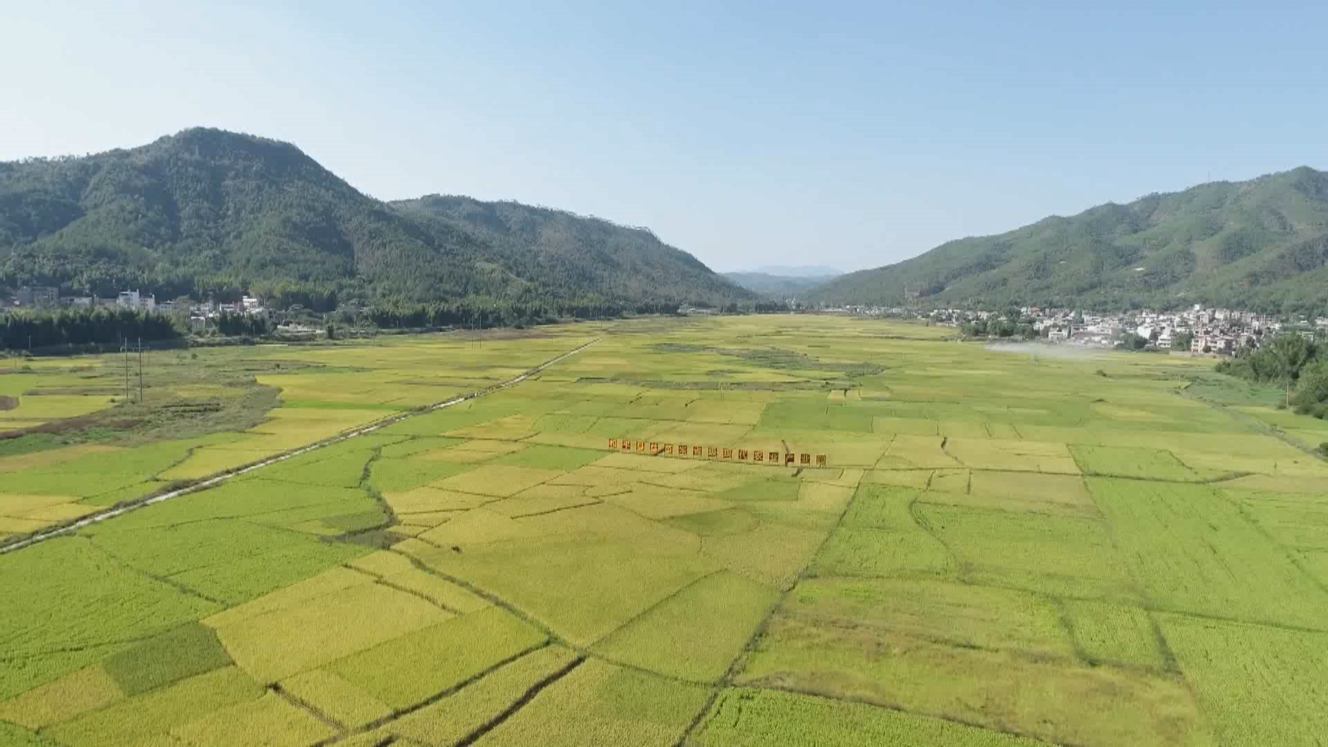文章配圖