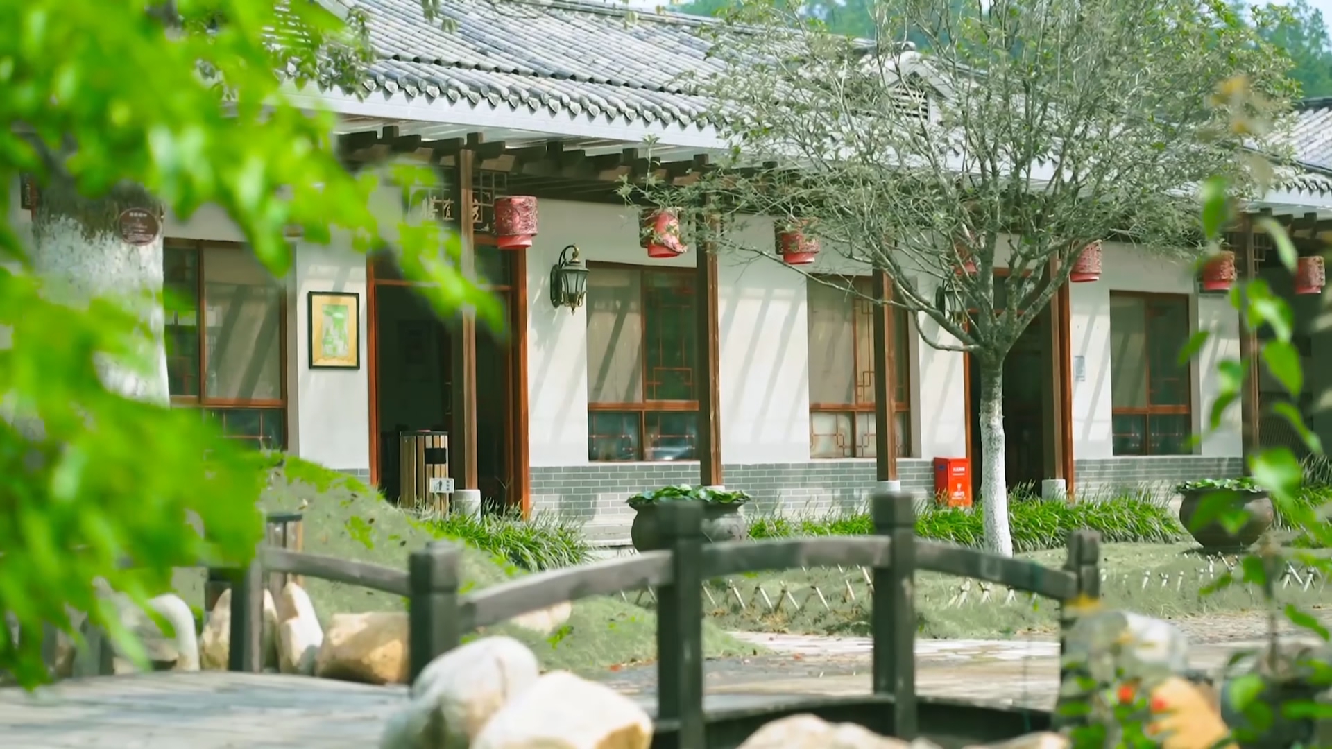 文章配圖